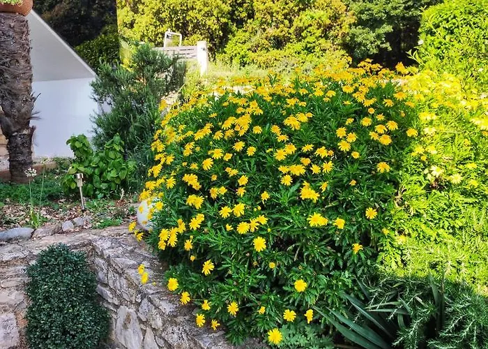 Tina Stinjan Apartment